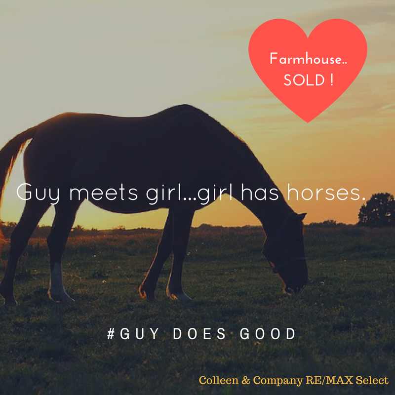 copy-of-guy-meets-girl-girl-has-horses